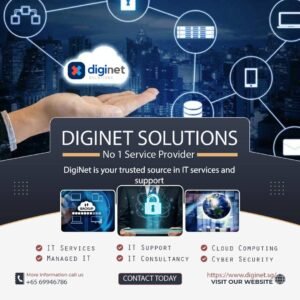 DigiNet | IT Consulting Service Provider