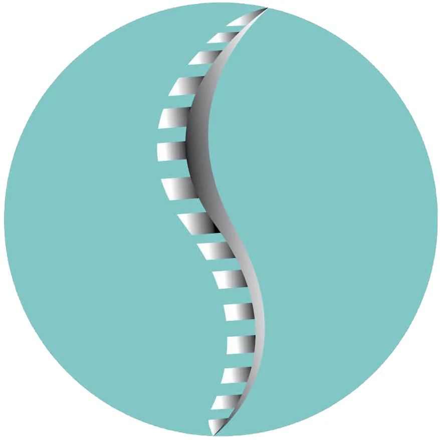 Arc of Life Chiropractic: Your Path to Wellness