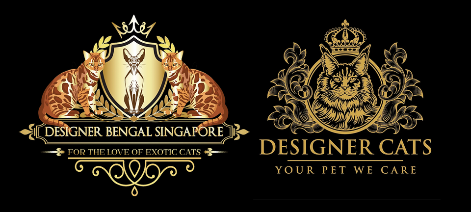 Designer Bengal Singapore