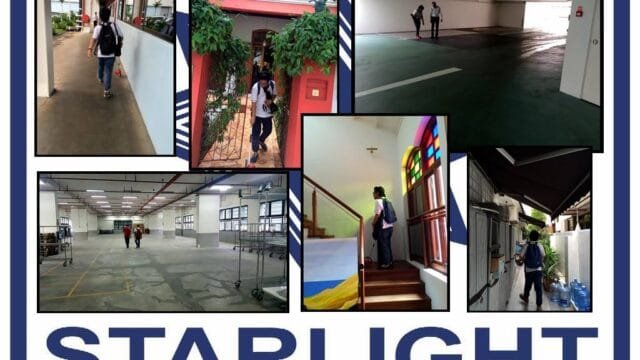 Professional Painting Services