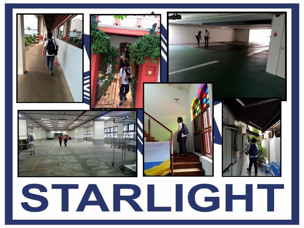 Professional Painting Services