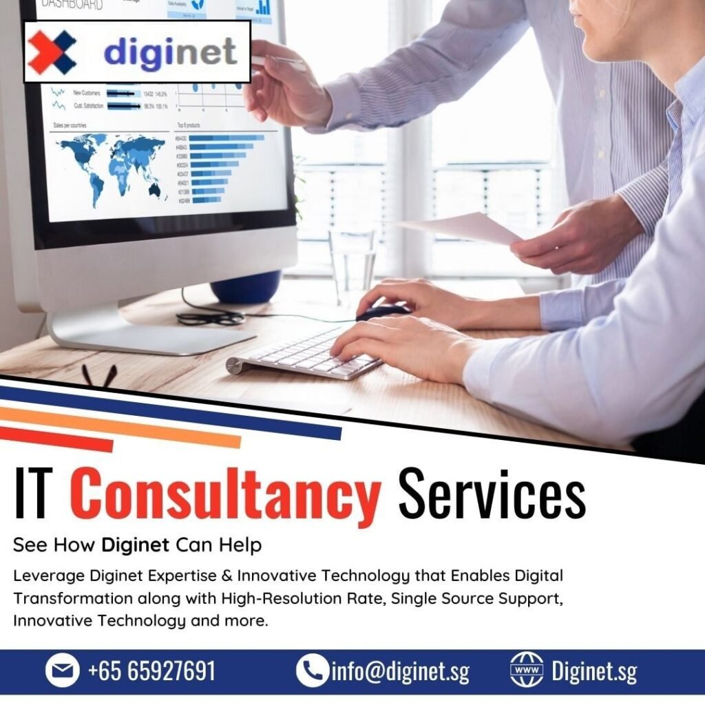 DigiNet | Top IT Consulting Services in Singapore