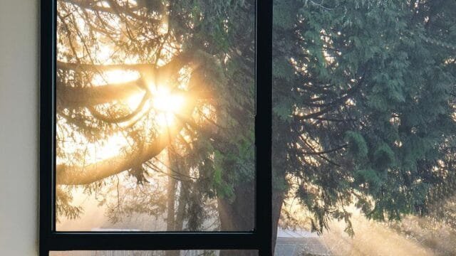 Perfect Window Systems 2